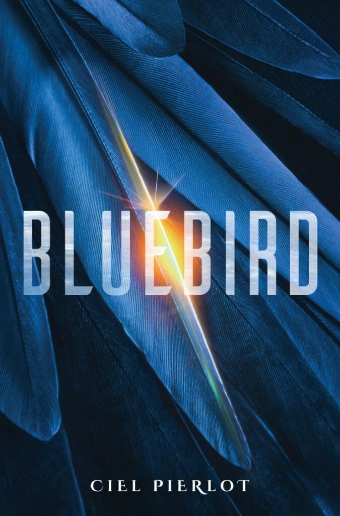 Best Sci Fi Books 2022: bluebird
