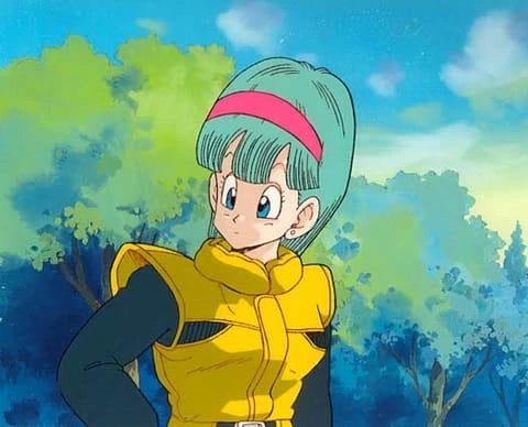 female anime characters: bulma