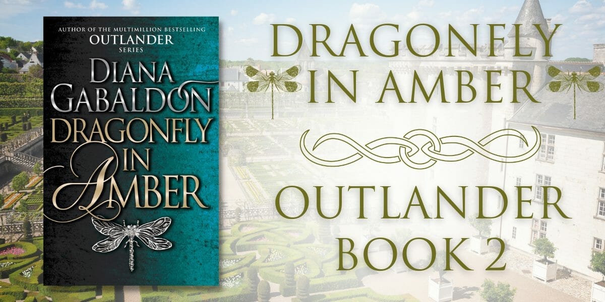 Dragonfly In Amber FB