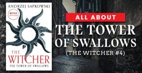 All About The Tower of Swallows (The Witcher #4)