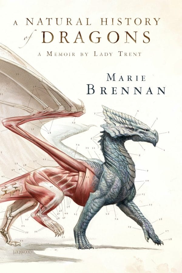 Dragon Fantasy Books